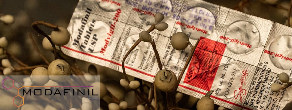 ind Lab Pro vs. Modafinil