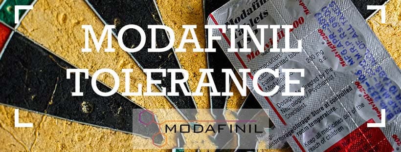 Modafinil Tolerance