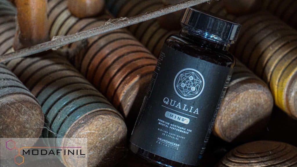 Qualia Mind