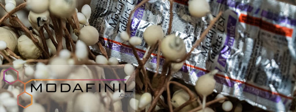 Modafinil vs Ritalin