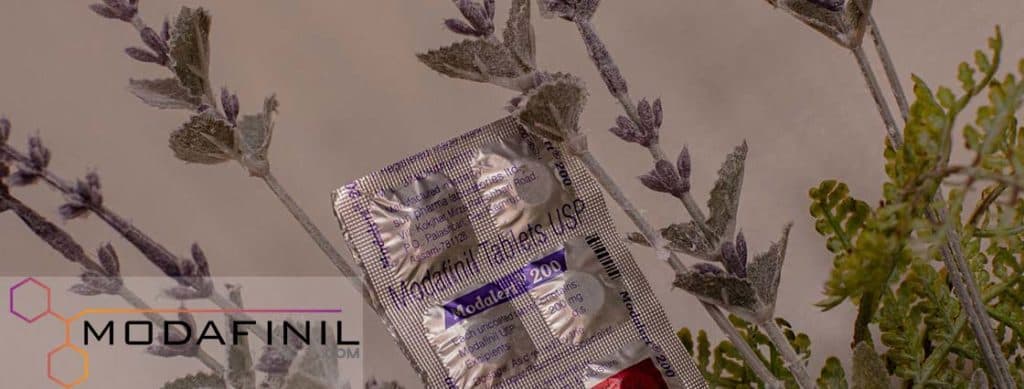 Modafinil vs Provigil