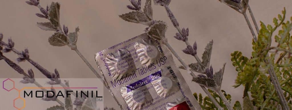 What Is Modafinil