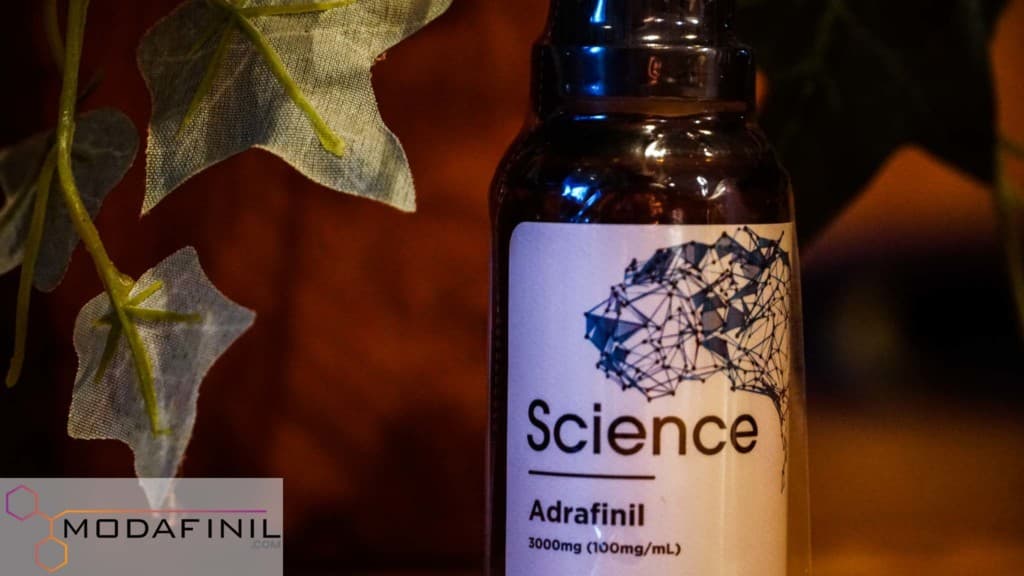 Adrafinil buy where