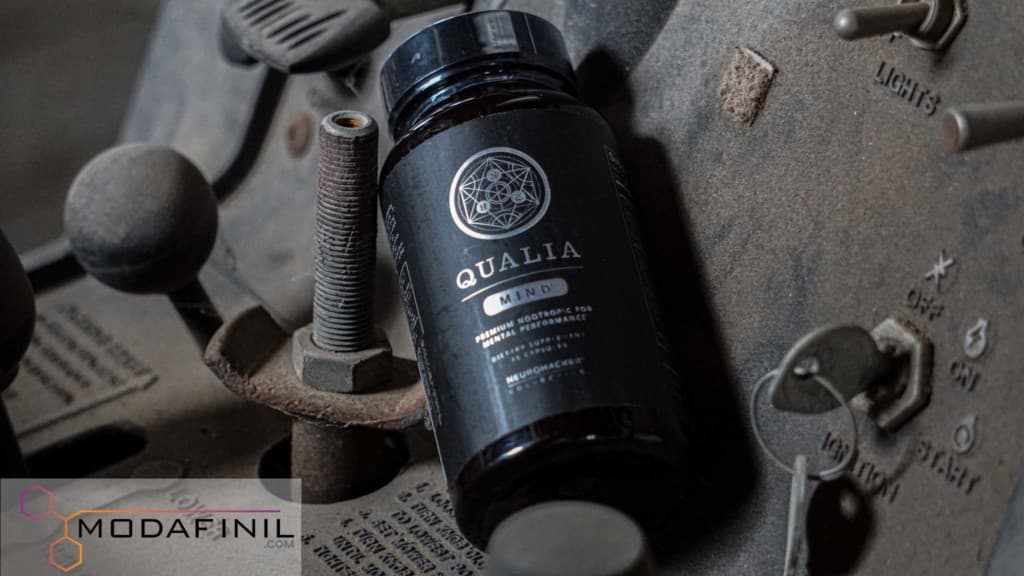Review Qualia Mind