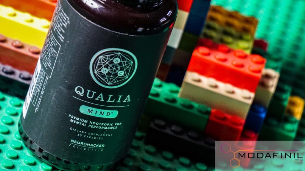 Review Qualia Mind