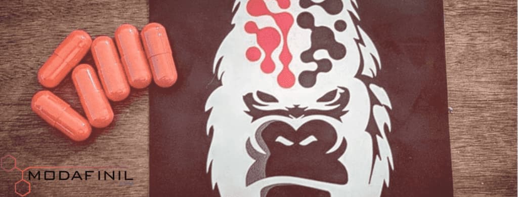 Gorilla-Mind-Rush-Review Gorilla Mind Rush Review