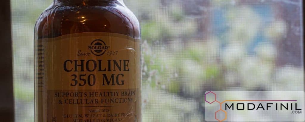 Choline is what