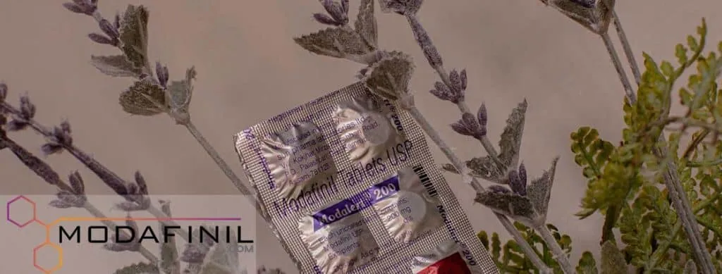 Modvigil Modalert Waklert Artvigil