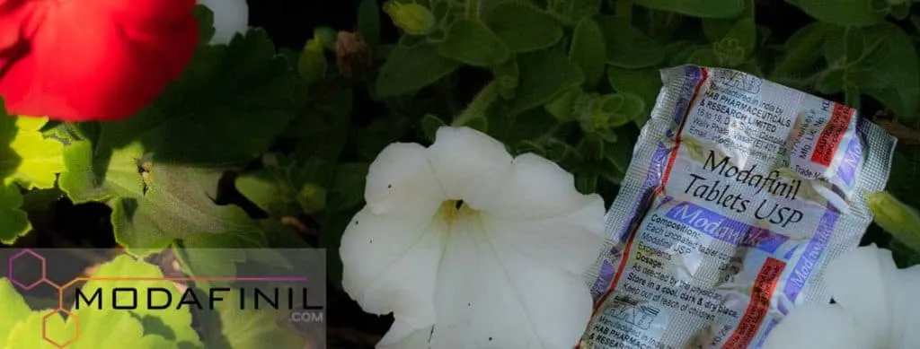 Modafinil and Drug Test