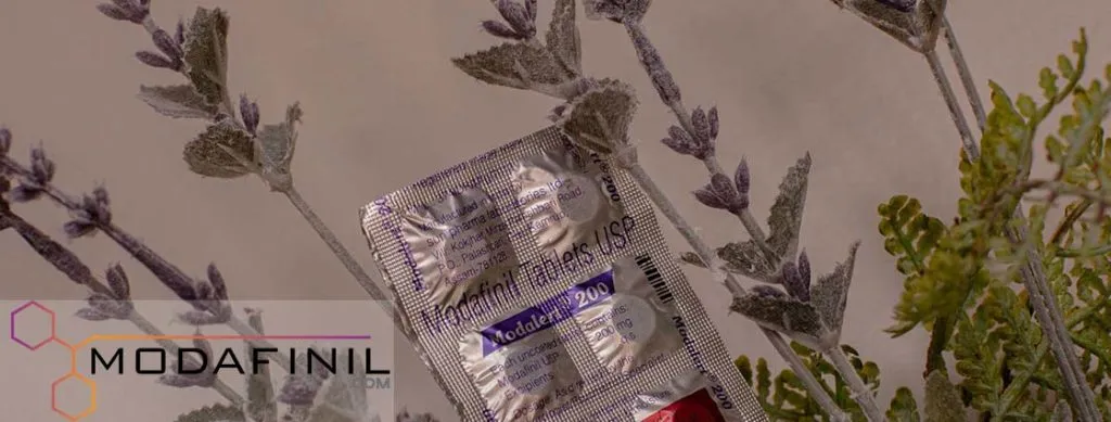 Modafinil vs Provigil