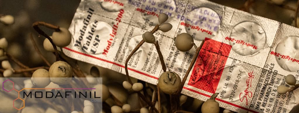 ind Lab Pro vs. Modafinil