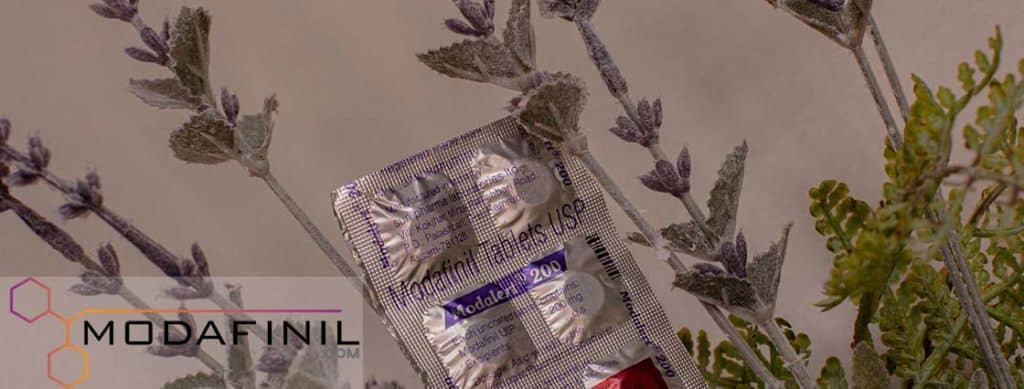 Modafinil Modafinil