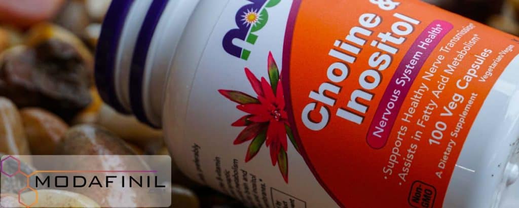 Modafinil and Choline