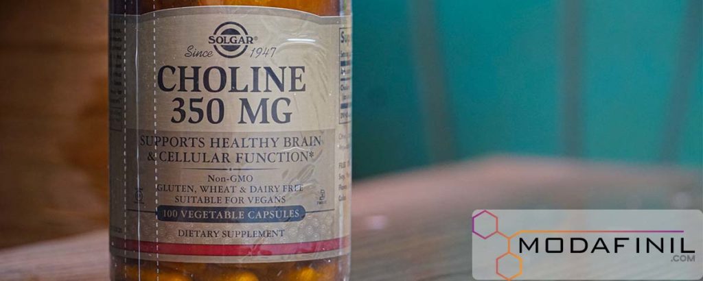 Choline and Modafinil